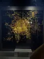 夜の地球 Earth at Night パビリオンの写真_781350