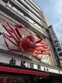 かに道楽本店の写真_781475
