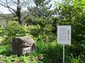 甲斐善光寺の写真_782431