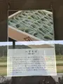 小嶋屋 総本店の写真_782638