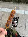 宮川朝市の写真_783264