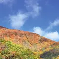 栂池自然園の写真_786275