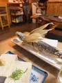 若大将の写真_786509