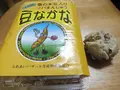 ふれあいバザールの写真_78758