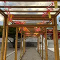 樽前山神社の写真_788409