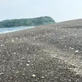 知林ヶ島の写真_788700