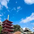 東長寺の写真_791769