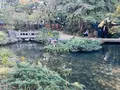 楽水園の写真_791795