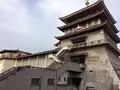 大津湖岸なぎさ公園の写真_79293
