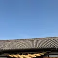阿智神社の写真_796666