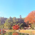 岡山後楽園の写真_796670