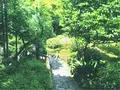 鈴虫寺（華厳寺）の写真_80284