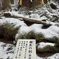 相生の杉（御神木）の写真_803517