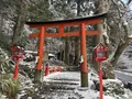 貴船神社 中宮 結社の写真_803523