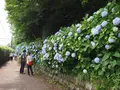 飛鳥山公園の写真_80728