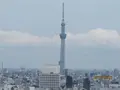 文京シビックセンター展望ラウンジの写真_80835
