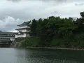 名古屋城の写真_80912
