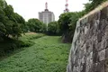 名古屋城の写真_80929
