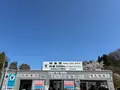 三春滝桜の写真_811951