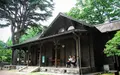旧岩崎邸庭園の写真_81199