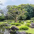 日本庭園 日向景修園の写真_812908