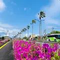 日本庭園 日向景修園の写真_812910