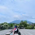 桜島溶岩なぎさ公園＆足湯の写真_812984