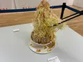 秋田県立美術館の写真_813945