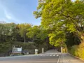 千秋公園の写真_813957