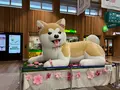 秋田駅の写真_813960