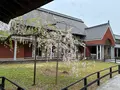 角館樺細工伝承館の写真_814123