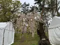 弘前城の写真_814304
