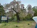 弘前城の写真_814310