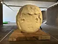 青森県立美術館の写真_814474
