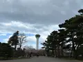 五稜郭タワーの写真_814675