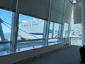 津軽海峡フェリー函館ターミナルの写真_814978