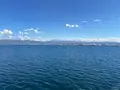 津軽海峡フェリー函館ターミナルの写真_814979