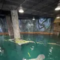 リバー・サファリ・シンガポールの写真_815485