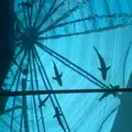 S.E.A. Aquariumの写真_815544
