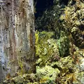 S.E.A. Aquariumの写真_815558