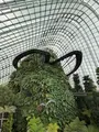 ガーデンズ・バイ・ザ・ベイの写真_815605