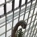 ガーデンズ・バイ・ザ・ベイの写真_815608