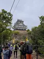 岐阜城の写真_816026