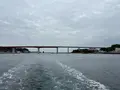城ヶ島大橋の写真_818349