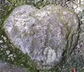 瀧原宮の写真_81947
