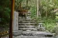 恵利原の水穴の写真_81952