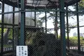 小田原城の写真_81984