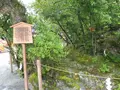上賀茂神社（賀茂別雷神社）の写真_82031