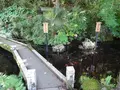 居醒の清水の写真_820705