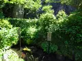 居醒の清水の写真_820706
